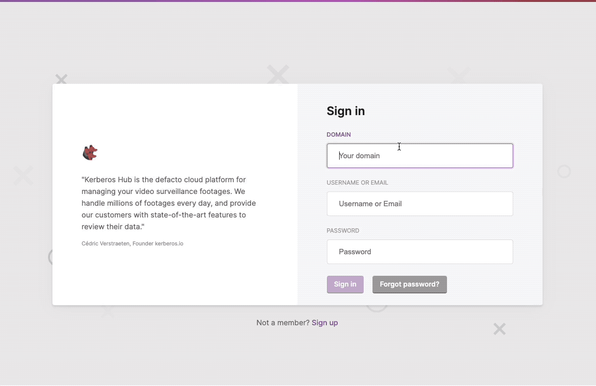 Forcing SSO for domains, this will hide the username and password fields.